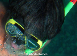Snorkeling
Nikon coolpix 5000 +Sea&Sea housing- natural ... by Alberto Romeo 